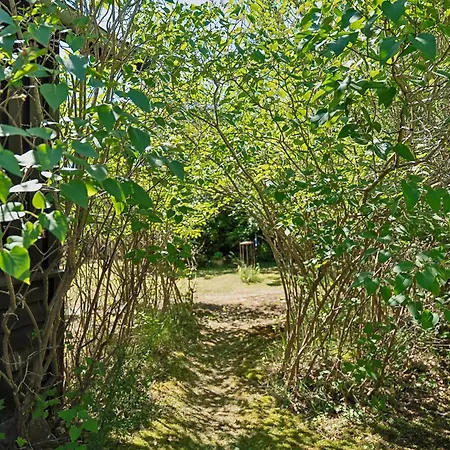Charming Close To The
